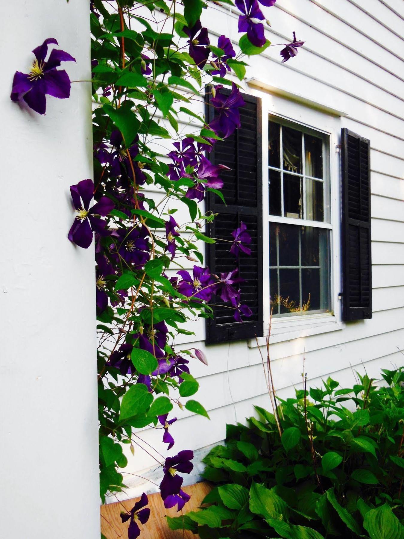 Millbrook Country House Luaran gambar